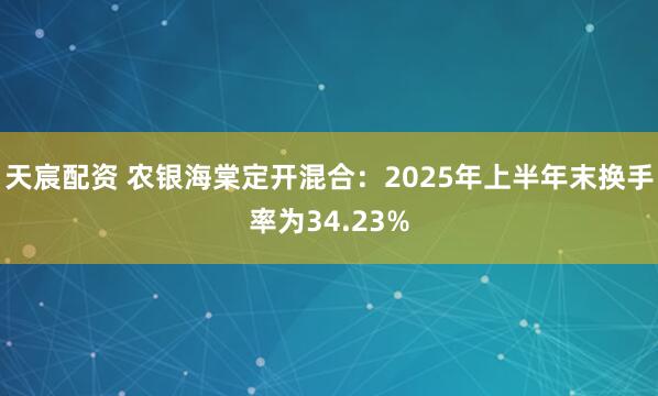 天宸配资 农银海棠定开混合：2025年上半年末换手率为34.23%