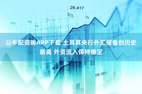 公牛配资端APP下载 土耳其央行外汇储备创历史新高 外资流入保持稳定