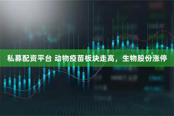 私募配资平台 动物疫苗板块走高，生物股份涨停