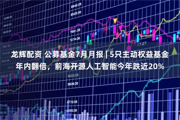 龙辉配资 公募基金7月月报 | 5只主动权益基金年内翻倍，前海开源人工智能今年跌近20%
