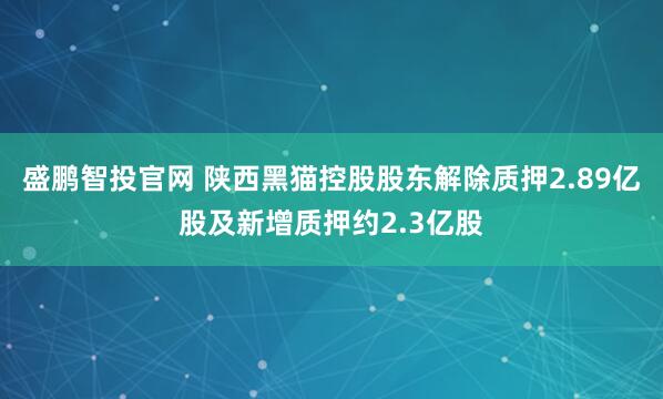 盛鹏智投官网 陕西黑猫控股股东解除质押2.89亿股及新增质押约2.3亿股